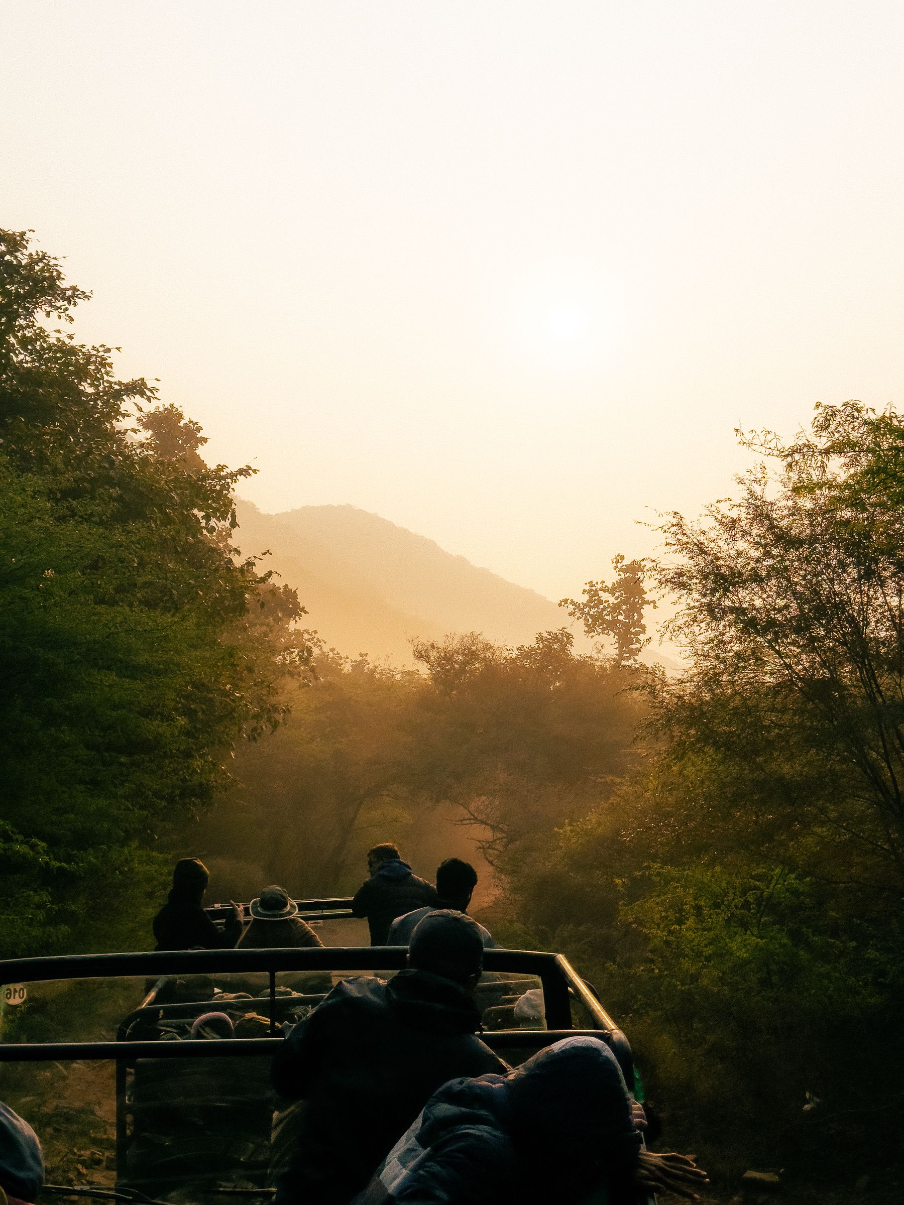 People Riding In Open Vehicle Safari At Sunrise